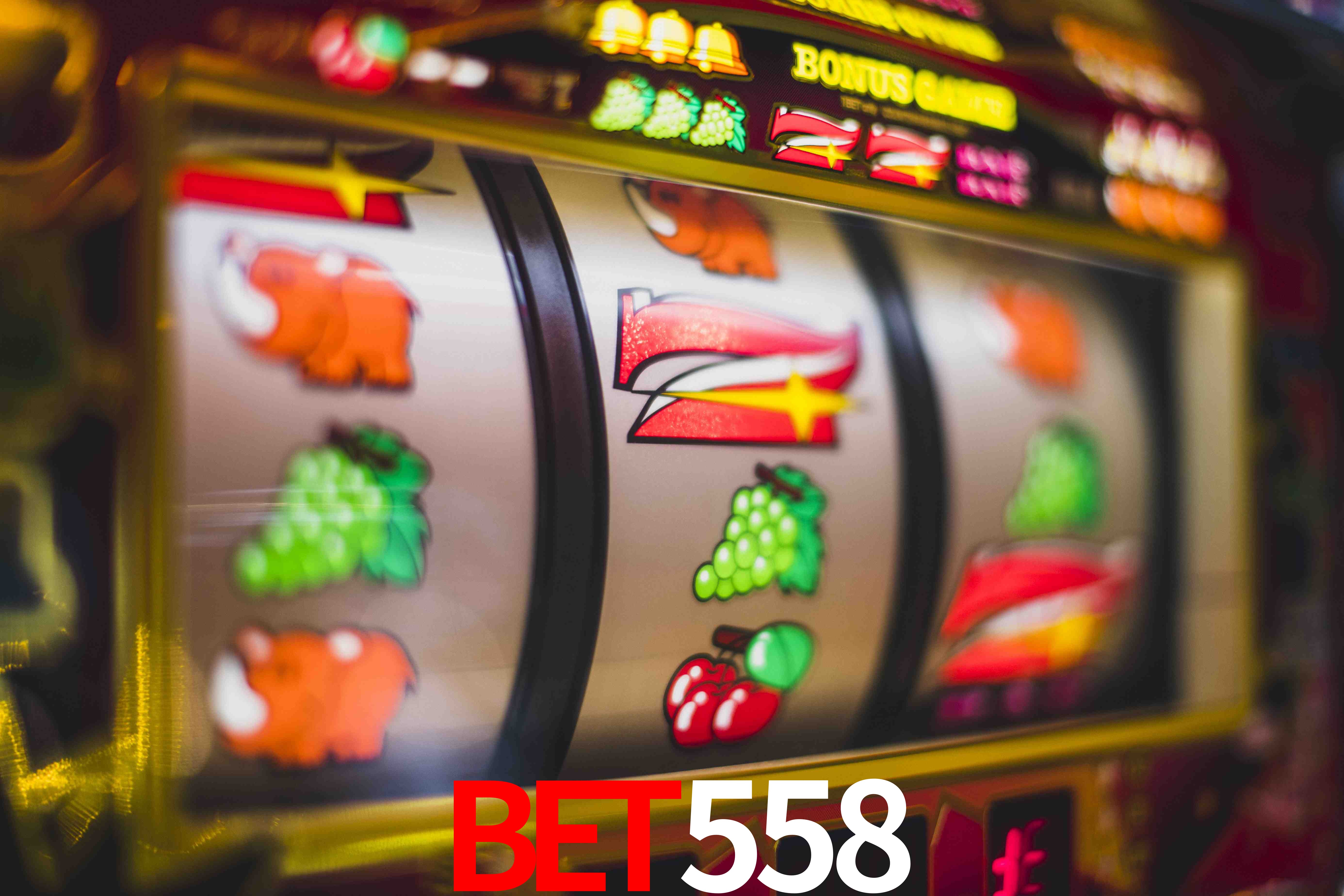 Experiência VIP bet558